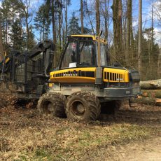 Leserfotos: Forstwirtschaft auf dem Bözberg